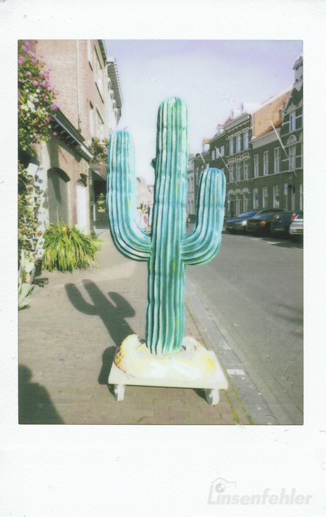 0069 – Kaktus