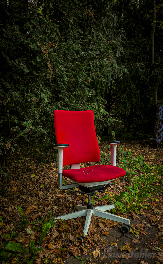 Stuhl im Herbstlaub